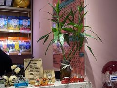 -FAELING PETS美天灵宠物(富力广场店)