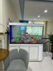 -成都军建医院·疤痕诊疗中心