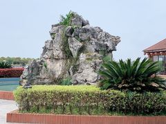 -上海都市菜园