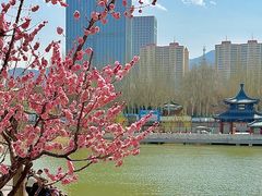 -雁滩公园