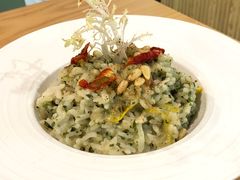 香草醬義大利燉飯-VEGA VEGA 我行我素