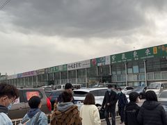 -朝来春花卉市场