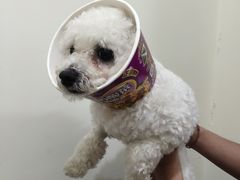 -萌兽医馆·宠物医院·猫骨科(创景店)