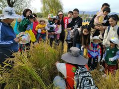 -北京市邮政管理局海慧寺幼儿园