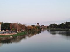 -海珠湖公园