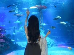 -沈阳海洋探索中心