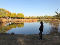 -永定河休闲森林公园