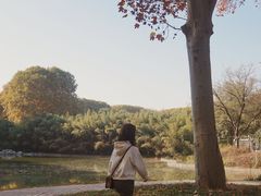 -河南省黄河迎宾馆