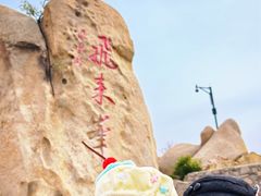 -北京凤凰岭