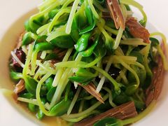 黑腐竹豆苗-北京厨房(西安SKP店)