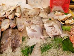 -大树下海鲜饭店