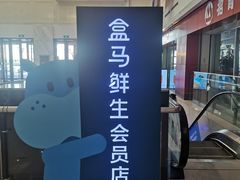 -盒马鲜生(大成店)
