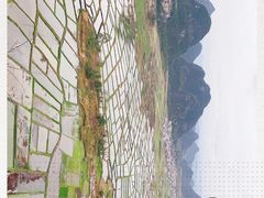-会仙湿地
