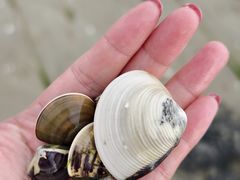 -北海金海湾红树林生态旅游区