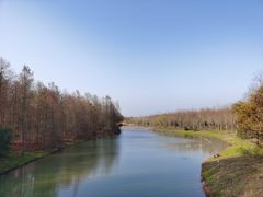 -上海海湾国家森林公园