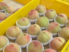 -老袁家蜜桃农场·阳山水蜜桃