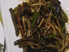 -丁老爷子苏香圆