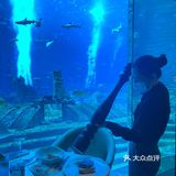 人均2K➕的海底餐厅到底如何