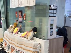 -荔康动物医院(康王北路店)