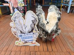 -蓝湾碧波·老字号·疍家非遗海上餐厅