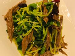 黑腐竹豆苗-北京厨房(西安SKP店)