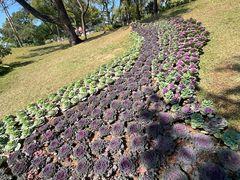 -云溪植物园