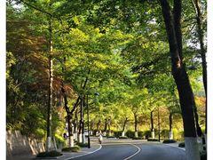 -龙井御庄·精致江南菜(龙井店)