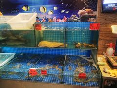 水产区-荣鹏风味烀饼总店