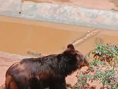 -昆明动物园