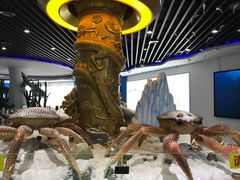 -亚龙湾中心广场