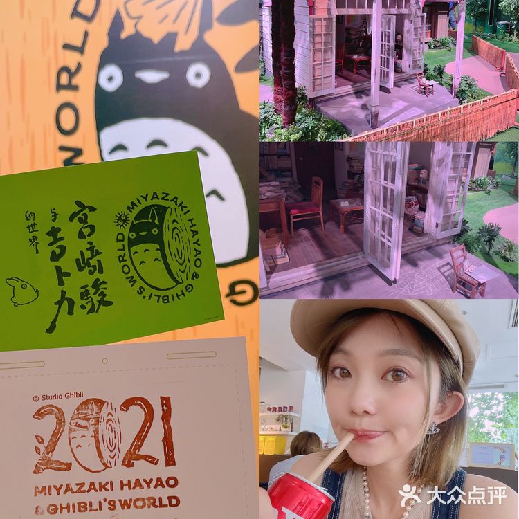 🏚となりのトトロ🪵邻家的龙猫