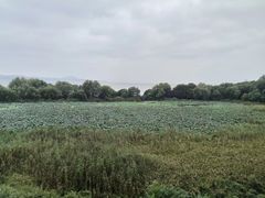 -上海市保健医疗中心