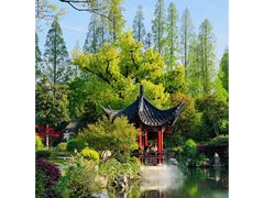 -杭州西湖柳莺里酒店·闻莺厅