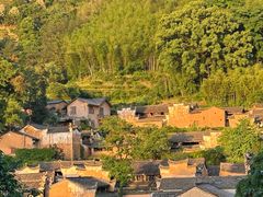 -杨家堂村