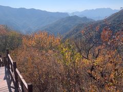 -大岭沟猕猴桃谷风景区