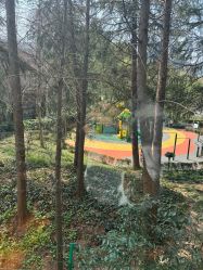 -馨月汇·一悦馨香月子中心(前滩店)