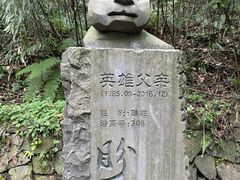 -都江堰中华大熊猫苑