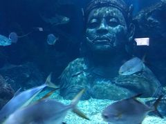 -暹罗海洋世界