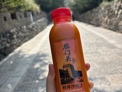 -雁门关景区