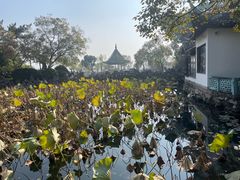 -无锡蠡湖国家湿地公园-蠡园