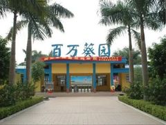 -百万葵园