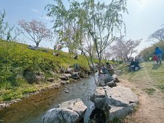 -羊山湖公园