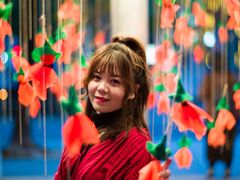 -三里屯东五街银杏大道