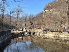 -白水寺森林公园