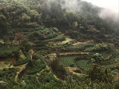 -杨家堂村