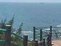 -广东惠东海龟国家级自然保护区