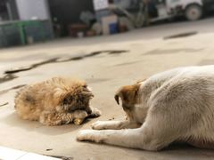 -济南大学-第8食堂