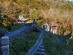 -韬光茶庵