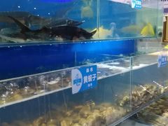 水产区-蓝珊甄选海鲜自助·火锅大排档(近阿那亚店)
