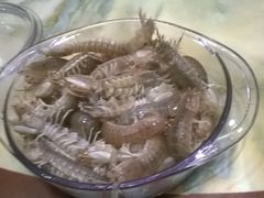虾姑-渔傅·蓝海岸霞浦海鲜(正祥店)
